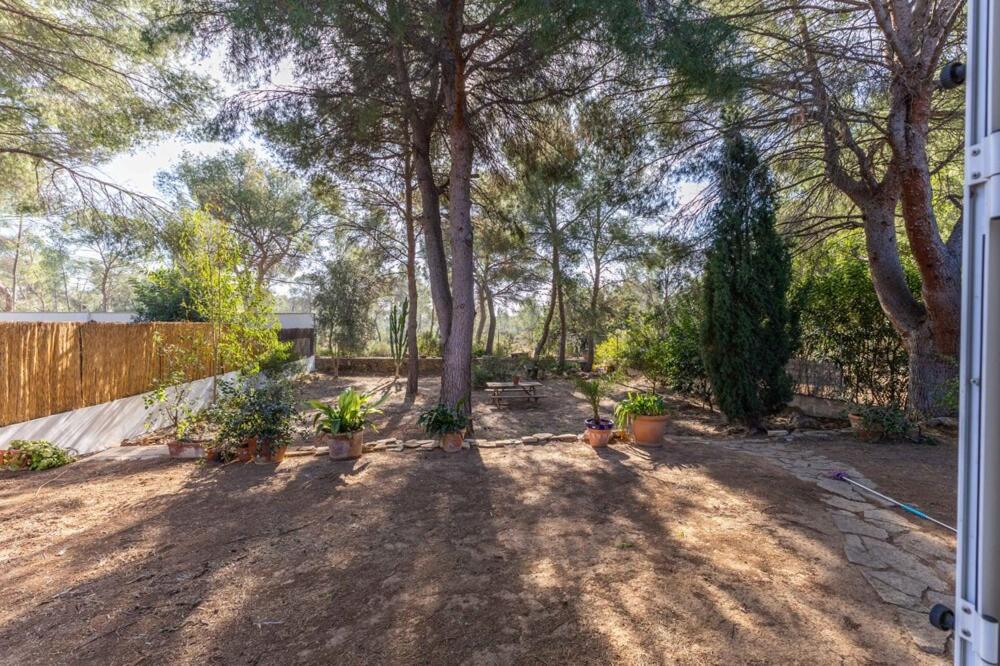 Apartmán Luxe Vista Serra Exteriér fotografie